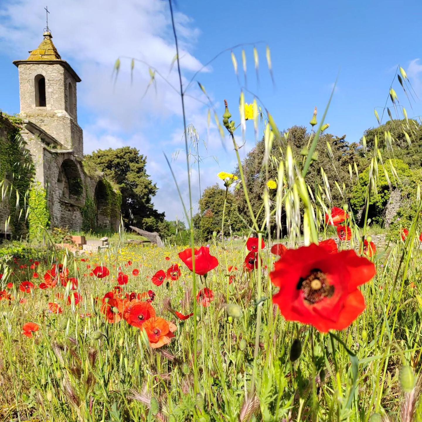 Château de Villarlong Villarzel-Cabardès Extérieur photo